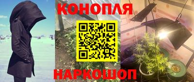 гидра Рузаевка